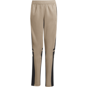 Nadrágok adidas SQUADRA25 TR PNT Y kép