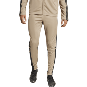 Nadrágok adidas SQUADRA25 TR PNT kép