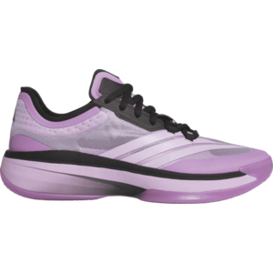 Kosárlabda cipő adidas Adizero Select 2.0 Low Trainers Shoe kép