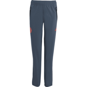 Nadrágok adidas FC Bayern Tiro25 Competition Vis Tech Travel Pant Kids kép