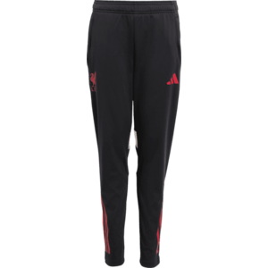 Nadrágok adidas Liverpool FC Competition Training Pants 2025/26 Kids kép