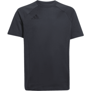 Rövid ujjú póló adidas TIRO25 TEE Y kép