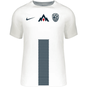 Póló Nike SLO M NK DFADV MATCH JSY SS HM 2024 kép