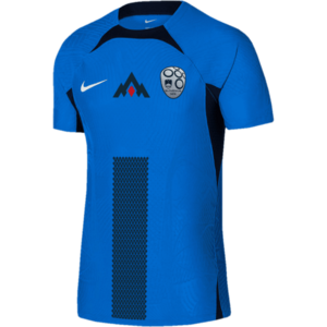 Póló Nike SLO M NK DFADV MATCH JSY SS AW 2024 kép