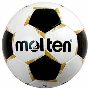Labda Molten PF-541 kép
