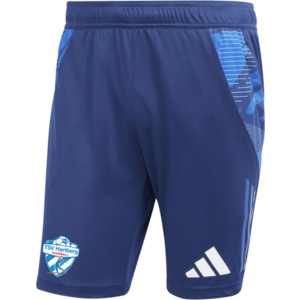 Rövidnadrág adidas TSV Hartberg Training Short kép