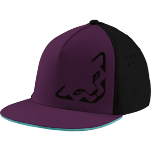 Baseball sapka Dynafit TECH TRUCKER CAP kép