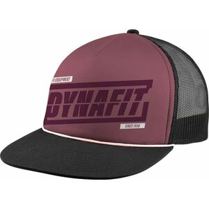 Baseball sapka Dynafit GRAPHIC TRUCKER CAP kép