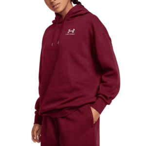 Kapucnis melegítő felsők Under Armour UA Icon Fleece OS Hoodie kép