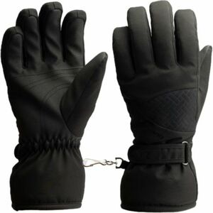Női síkesztyű BLIZZARD W2W Swift ski gloves, black kép