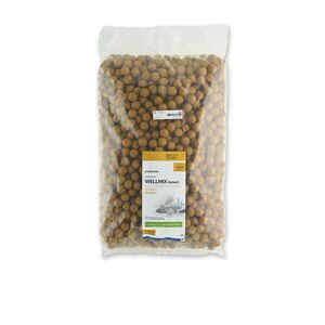Caperlan Bojli pontyozáshoz, scopex ízű, 20 mm, 9, 5 kg - Wellmix Instant kép