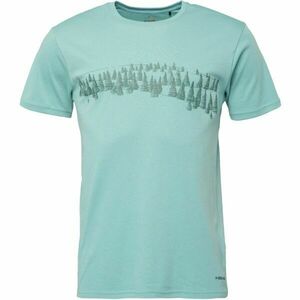 Head SALTUS Férfi póló, zöld, méret kép