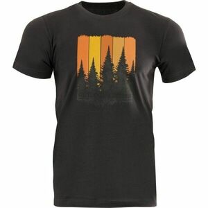 ALPINE PRO MERES Férfi póló, sötétszürke, méret kép