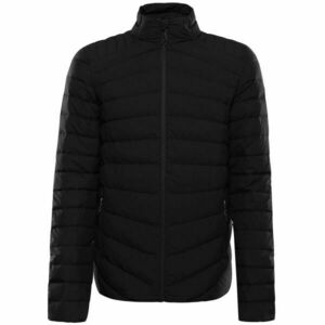 ALPINE PRO RETER Férfi pehelykabát, fekete, méret kép