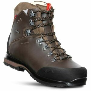 ALFA WALK QUEEN ADVANCE GTX W Női túracipő, barna, méret kép