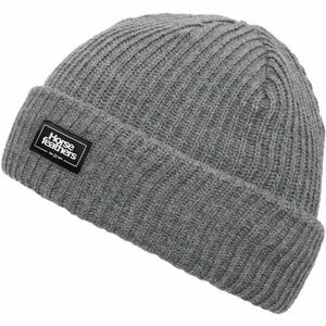 Horsefeathers GAINE BEANIE Férfi téli sapka, szürke, méret kép