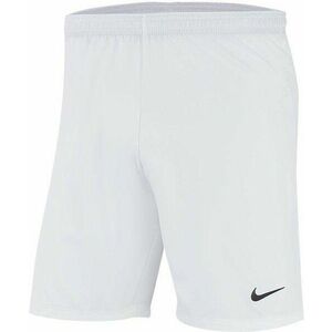 Rövidnadrág Nike Y NK DRY LSR IV SHORT W kép