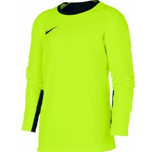 Hosszú ujjú póló Nike YOUTH TEAM GOALKEEPER JERSEY LONG SLEEVE kép