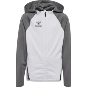 Melegítő felsők Hummel Hummel Lead 2.0 Hooded Jacket Kids kép