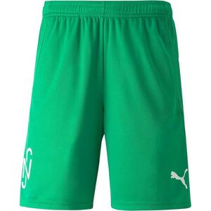 Rövidnadrág Puma NJR Copa Short Grün F07 kép
