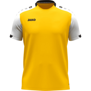 Rövid ujjú póló Jako Jako Dynamic kép