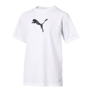 Rövid ujjú póló Puma LIGA Sideline Tee Jr kép