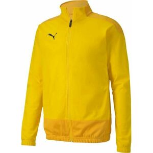 Dzseki Puma teamGOAL 23 Training Jacket kép