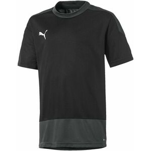 Póló Puma teamGOAL 23 Training Jersey Jr kép