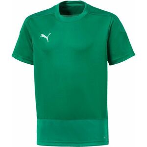 Póló Puma teamGOAL 23 Training Jersey Jr kép