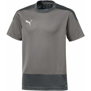 Póló Puma teamGOAL 23 Training Jersey Jr kép