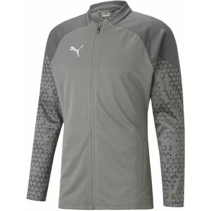 Dzseki Puma teamCUP Training Jacket kép