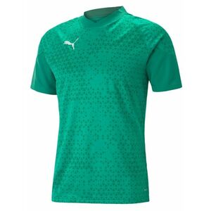 Póló Puma teamCUP Training Jersey kép