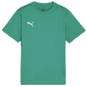 Rövid ujjú póló Puma teamGOAL T-Shirt kép