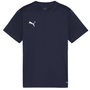 Rövid ujjú póló Puma teamGOAL T-Shirt kép