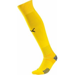 Sportszárak Puma teamFINAL 21 Socks kép