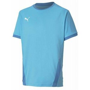 Póló Puma teamGOAL 23 Jersey Jr kép