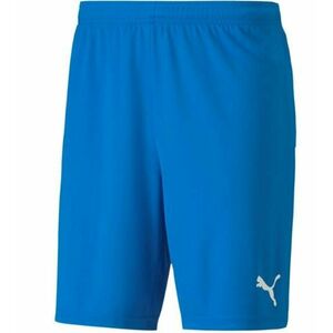 Rövidnadrág Puma teamGOAL 23 knit Shorts kép