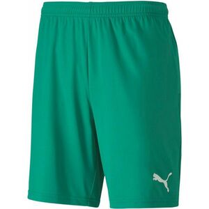 Rövidnadrág Puma teamGOAL 23 knit Shorts kép