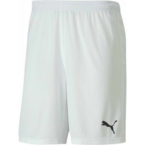 Rövidnadrág Puma teamGOAL 23 knit Shorts jr kép