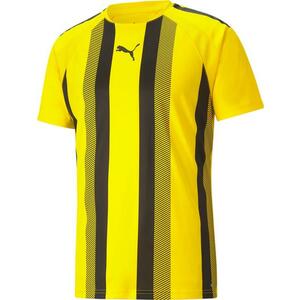 Póló Puma teamLIGA Striped Jersey kép