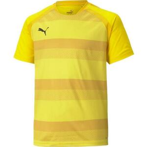 Póló Puma teamVISION Jersey Jr kép