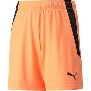 Rövidnadrág Puma teamLIGA Shorts Jr kép