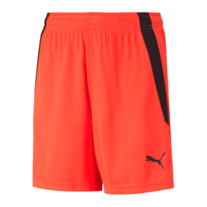 Rövidnadrág Puma teamLIGA Shorts Jr kép