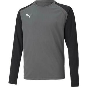 Hosszú ujjú póló Puma teamPACER GK LS Jersey Jr kép