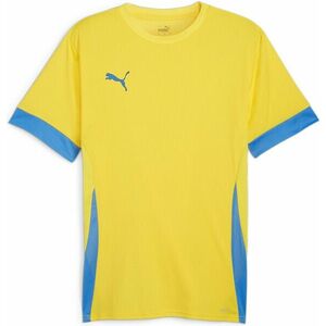 Póló Puma teamGOAL Matchday Jersey kép