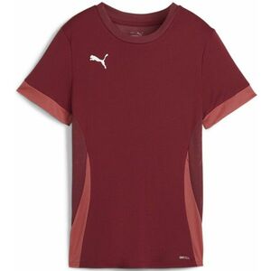 Póló Puma teamGOAL Matchday Jersey Wmns kép