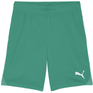 Rövidnadrág Puma teamGOAL Shorts kép