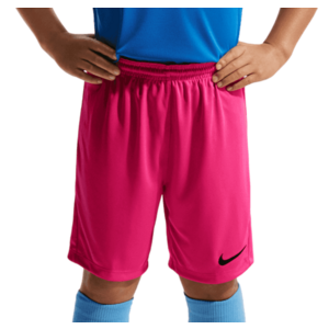 Rövidnadrág Nike Dri-FIT Park III Kids kép