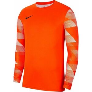 Hosszú ujjú póló Nike Y NK DRY PARK IV JSY LS GK kép