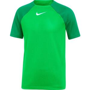 Rövid ujjú póló Nike Academy Pro Dri-FIT T-Shirt Youth kép